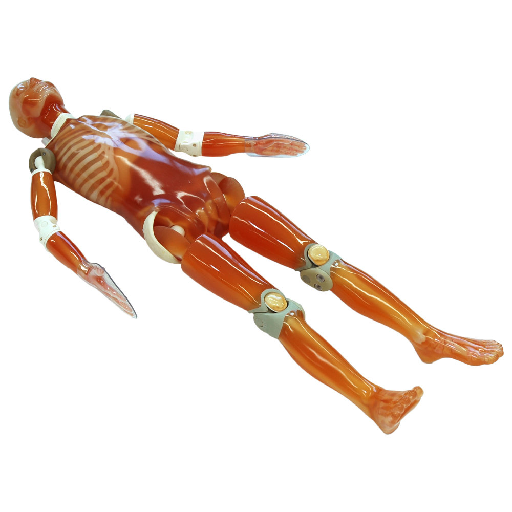 CT Whole Body Phantom with Pathologies (PH-2E)