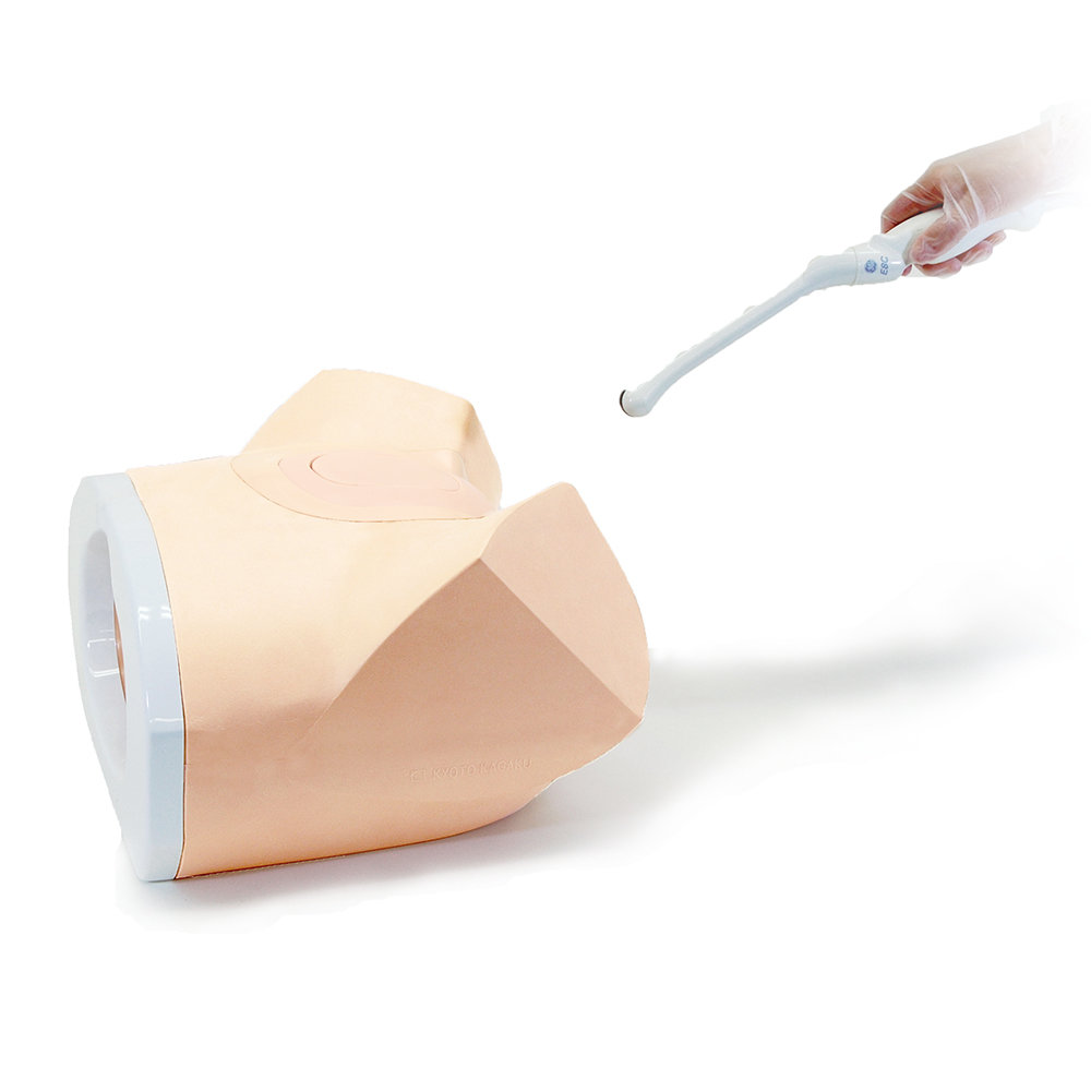 Female Pelvic Ultrasound Phantom (3 units/7W) (US-10A)