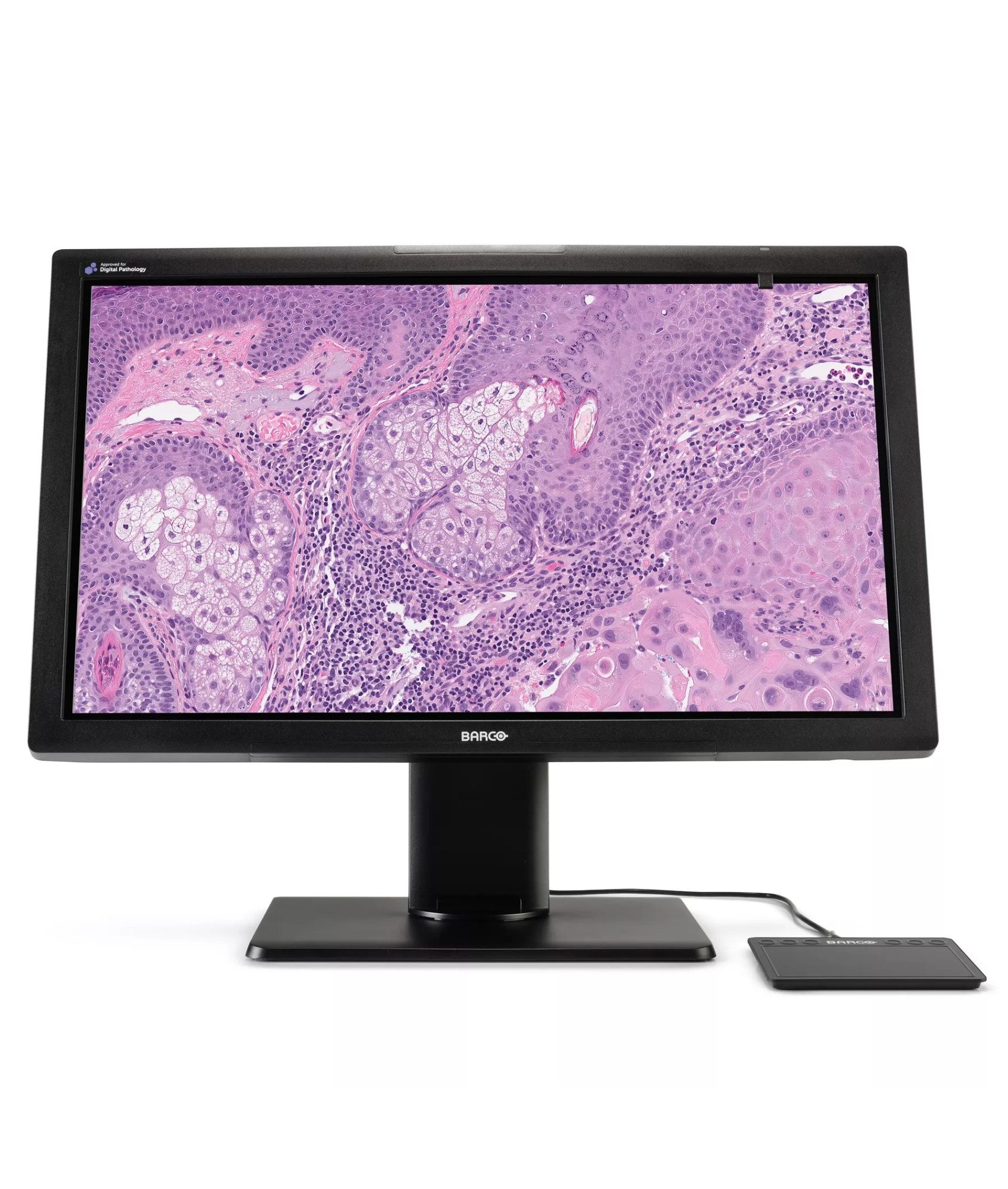 Digital Pathology