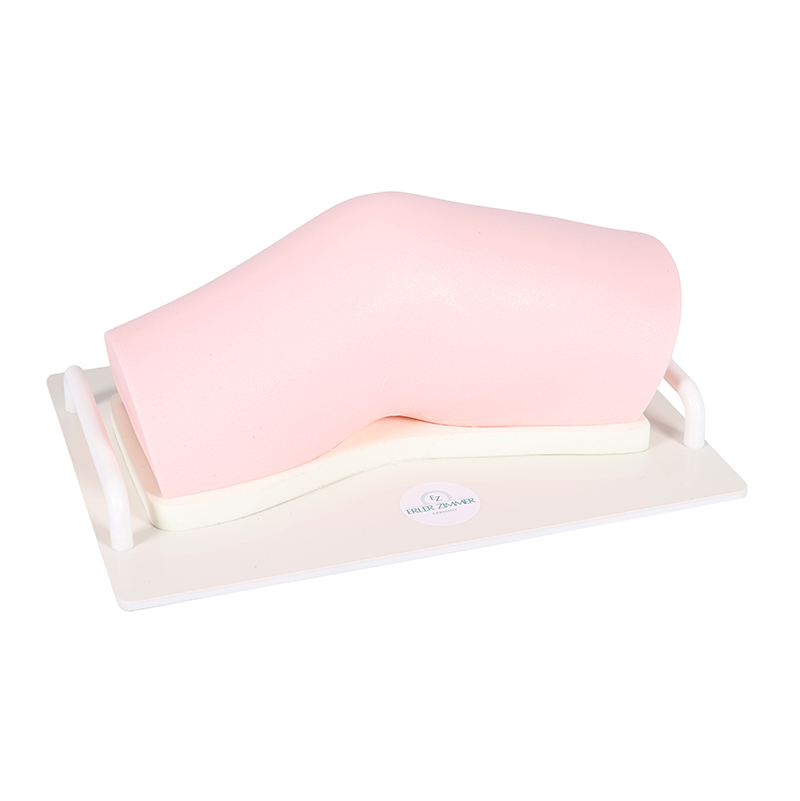 Knee (left) - SonoEZ Ultrasound Trainer