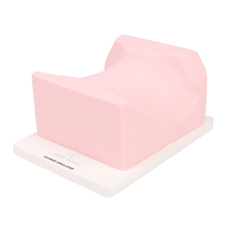 Thyroid - SonoEZ Ultrasound Trainer